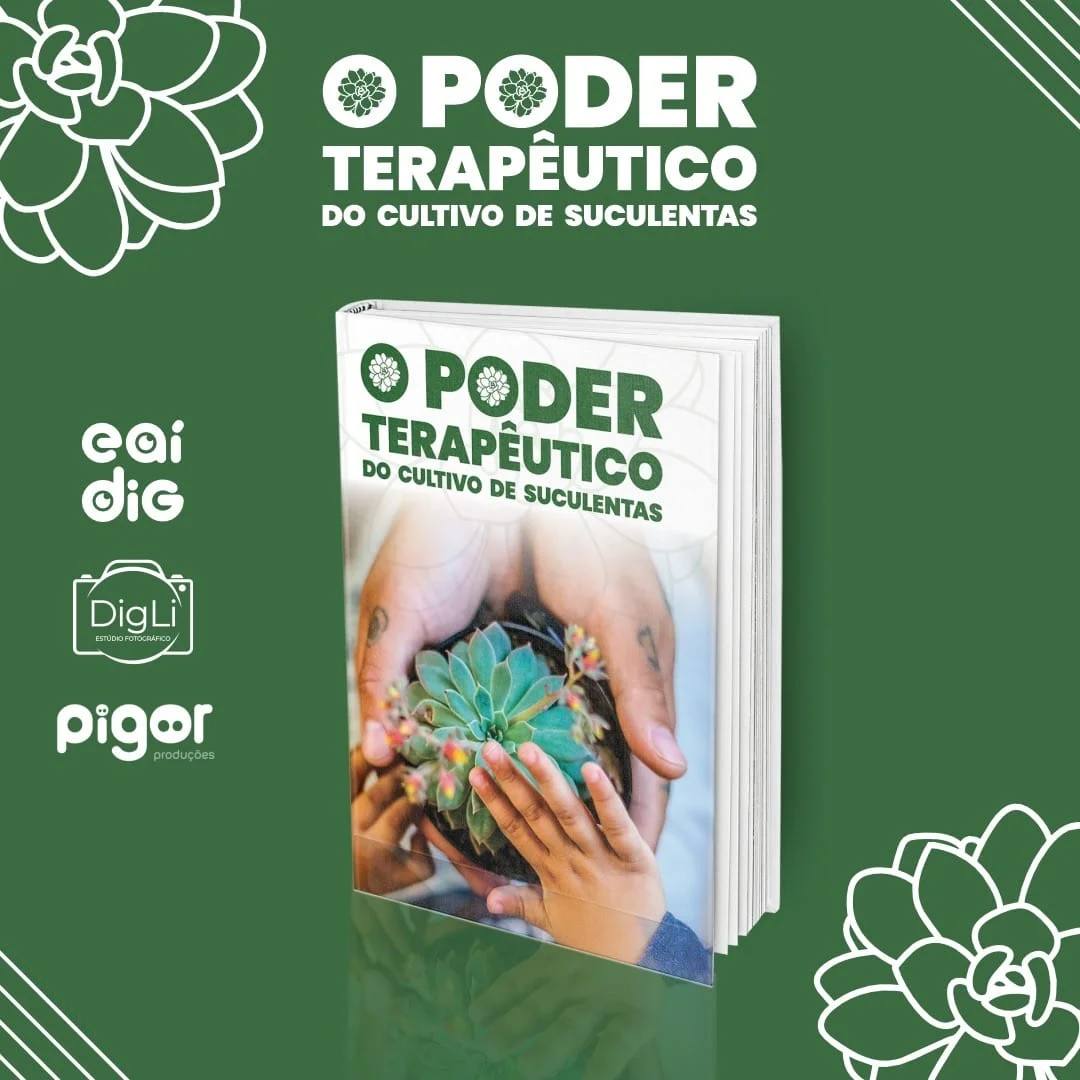 O Poder Terapêutico do Cultivo de Suculentas